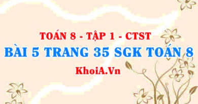 Bài 5 trang 35 SGK Toán 8 Tập 1 Chân trời sáng tạo